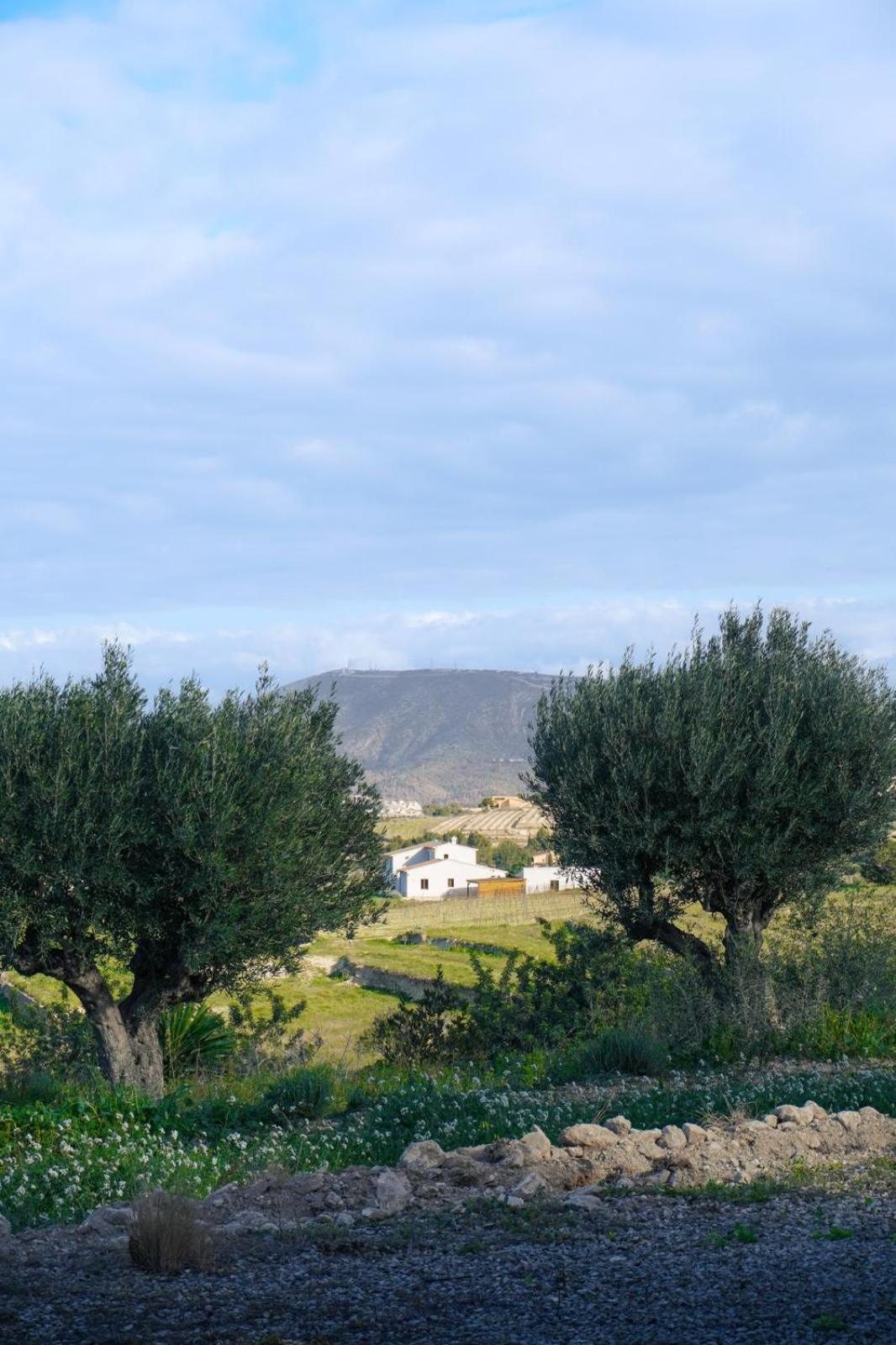 Hotel Finca Olivar เบนิสซา ภายนอก รูปภาพ