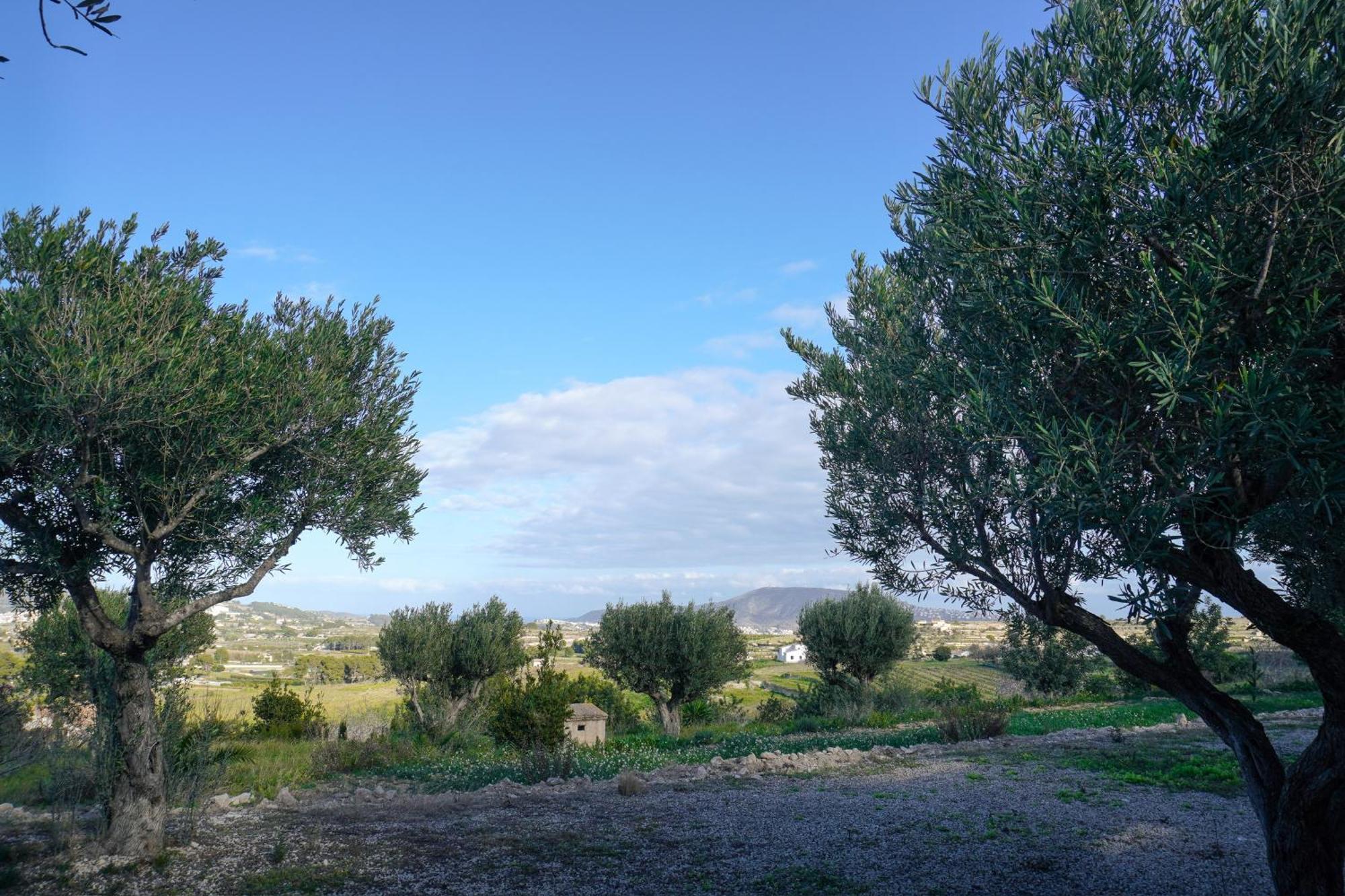Hotel Finca Olivar เบนิสซา ภายนอก รูปภาพ