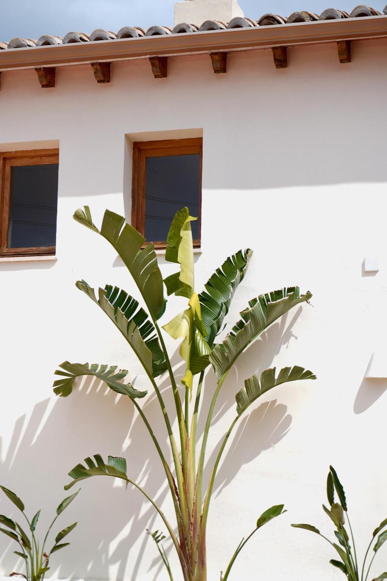 Hotel Finca Olivar เบนิสซา ภายนอก รูปภาพ